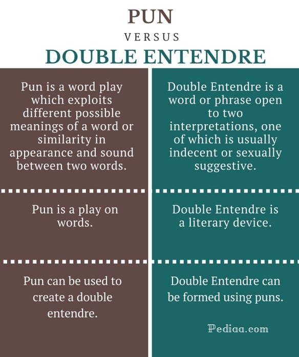 Difference Between Pun and Double Entendre - infographic