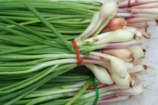Difference Between Scallions and Green Onions