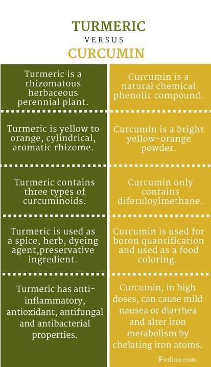 Difference Between Turmeric and Curcumin - infographic