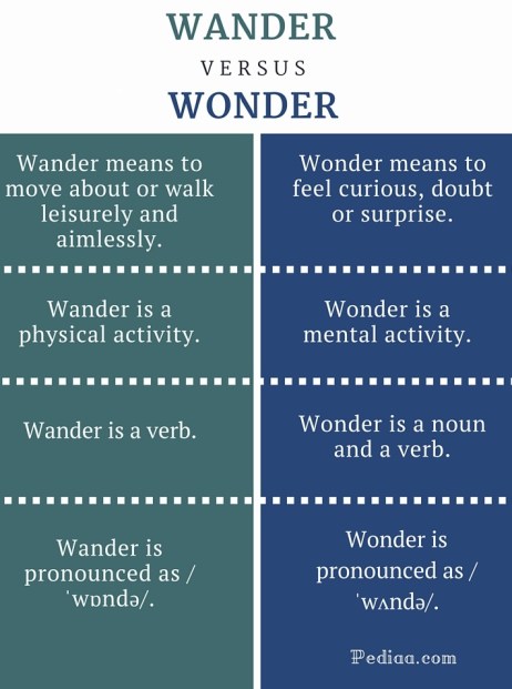 Difference Between Wander and Wonder-infographic