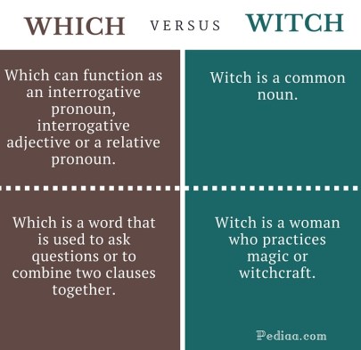 Difference Between Which and Witch - infographic