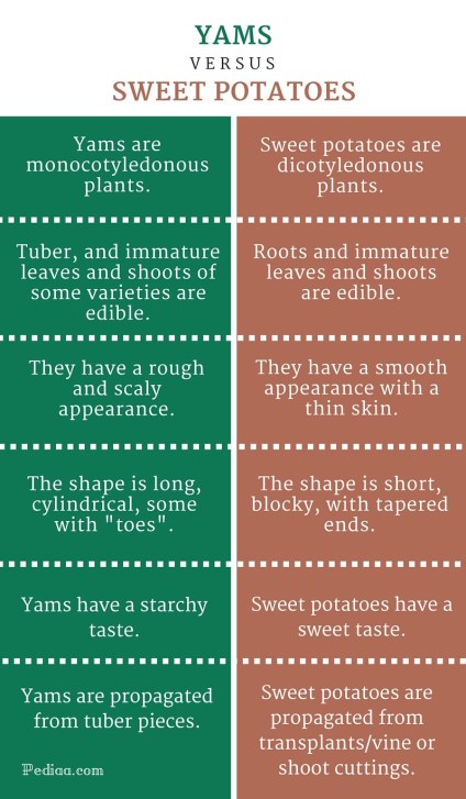 Difference Between Yams and Sweet Potatoes - infographic