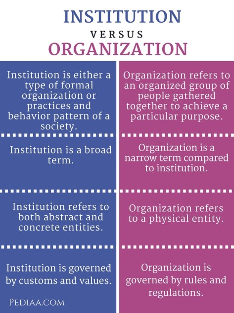Difference Between institution and organization - infographic
