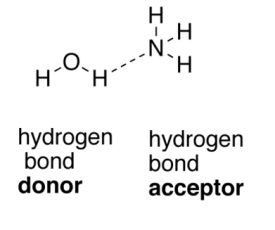 How Do Van Der Waals Forces Hold Molecules Together 