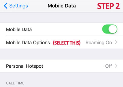 How to enable VoLTE in iPhone_Step 2