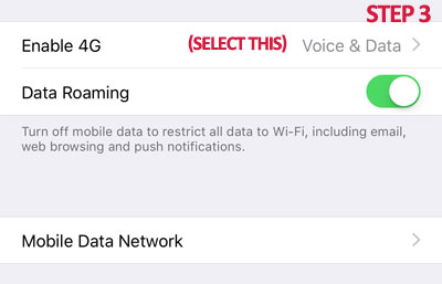 How to enable VoLTE in iPhone_Step 3