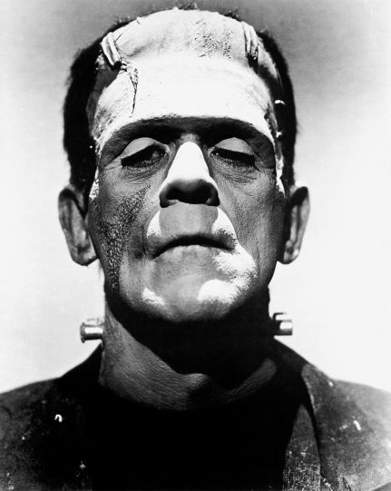 Similarities Between Frankenstein and the Monster - q
