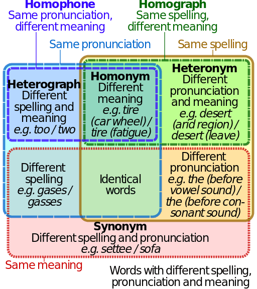 What is a Homonym