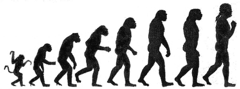 Darwinism vs Neo Darwinism