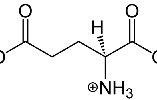 What is the Difference Between Glutamate and Glutamic Acid
