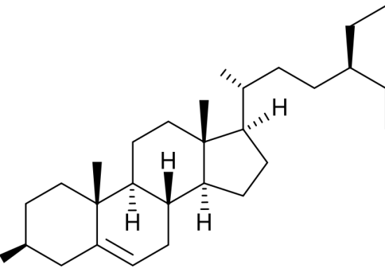 What is the Difference Between Plant Sterols and Statins_Figure 1